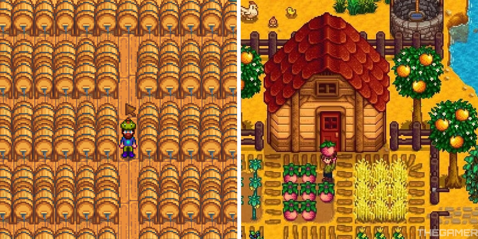 split image with player in keg shed next to image of player outside of shed