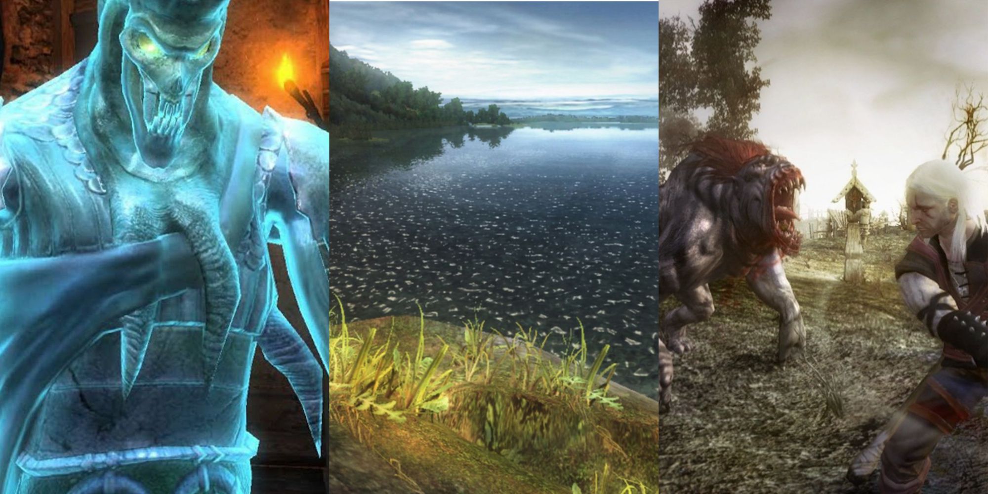 The Faery's Gifts • CD Projekt Announce Witcher 1 Remake, Internet