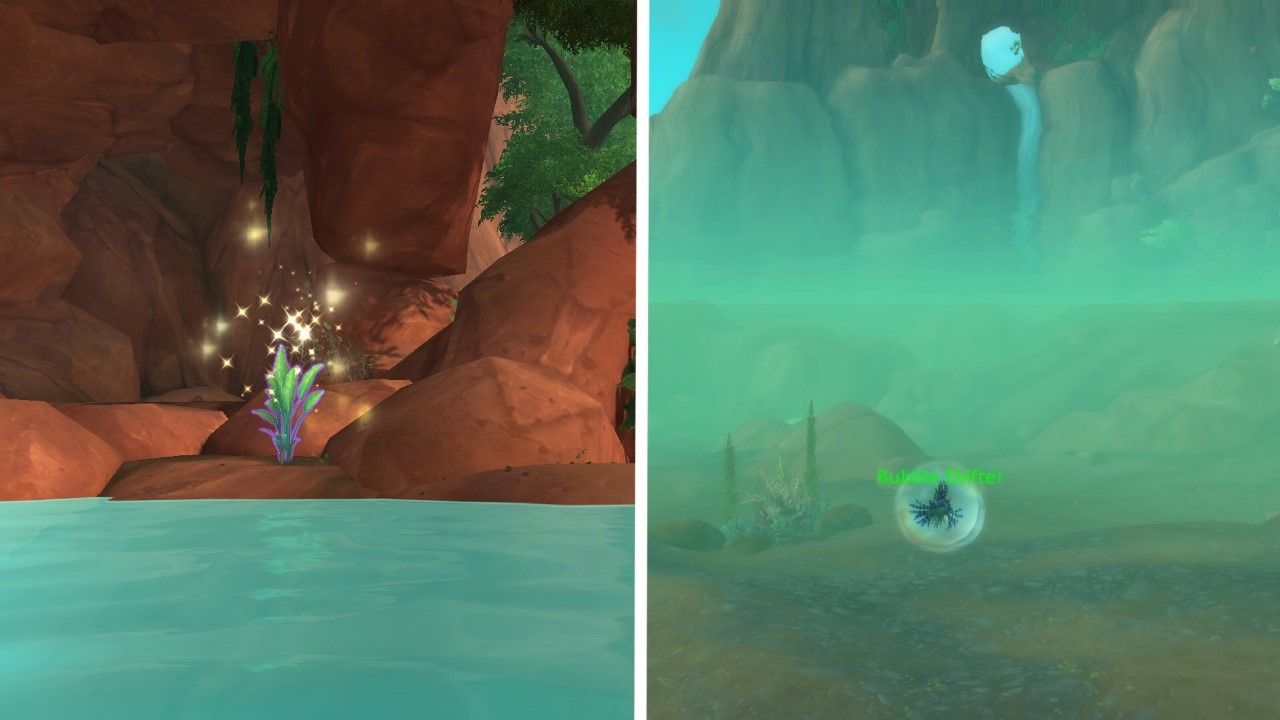 A split image of the plant you need to click and the azure frillfish swimming in a bubble