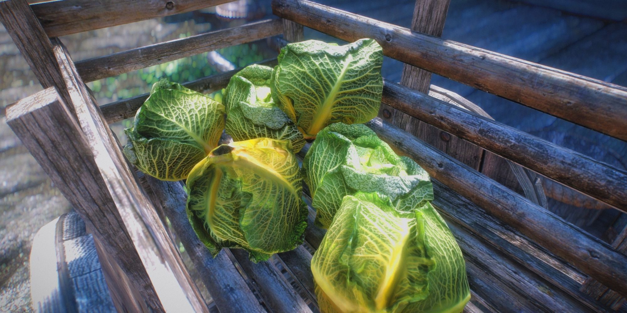 cabbage Skyrim