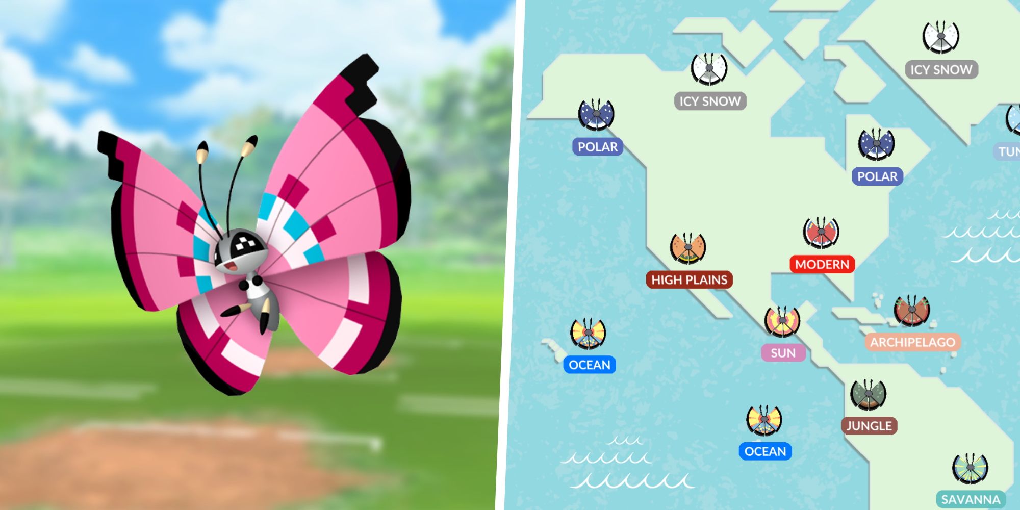 Image of Vivillon from Pokemon split with a map of Vivillon's regional patterns