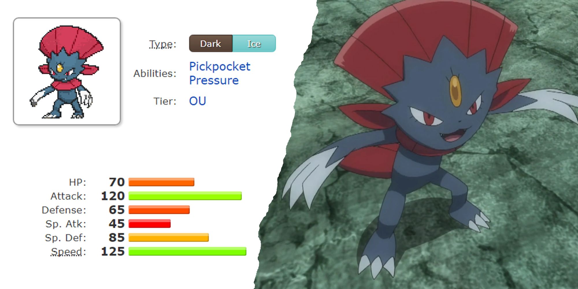 The Most Dangerous Setup Sweepers In Pokemon S&S Competitive Play