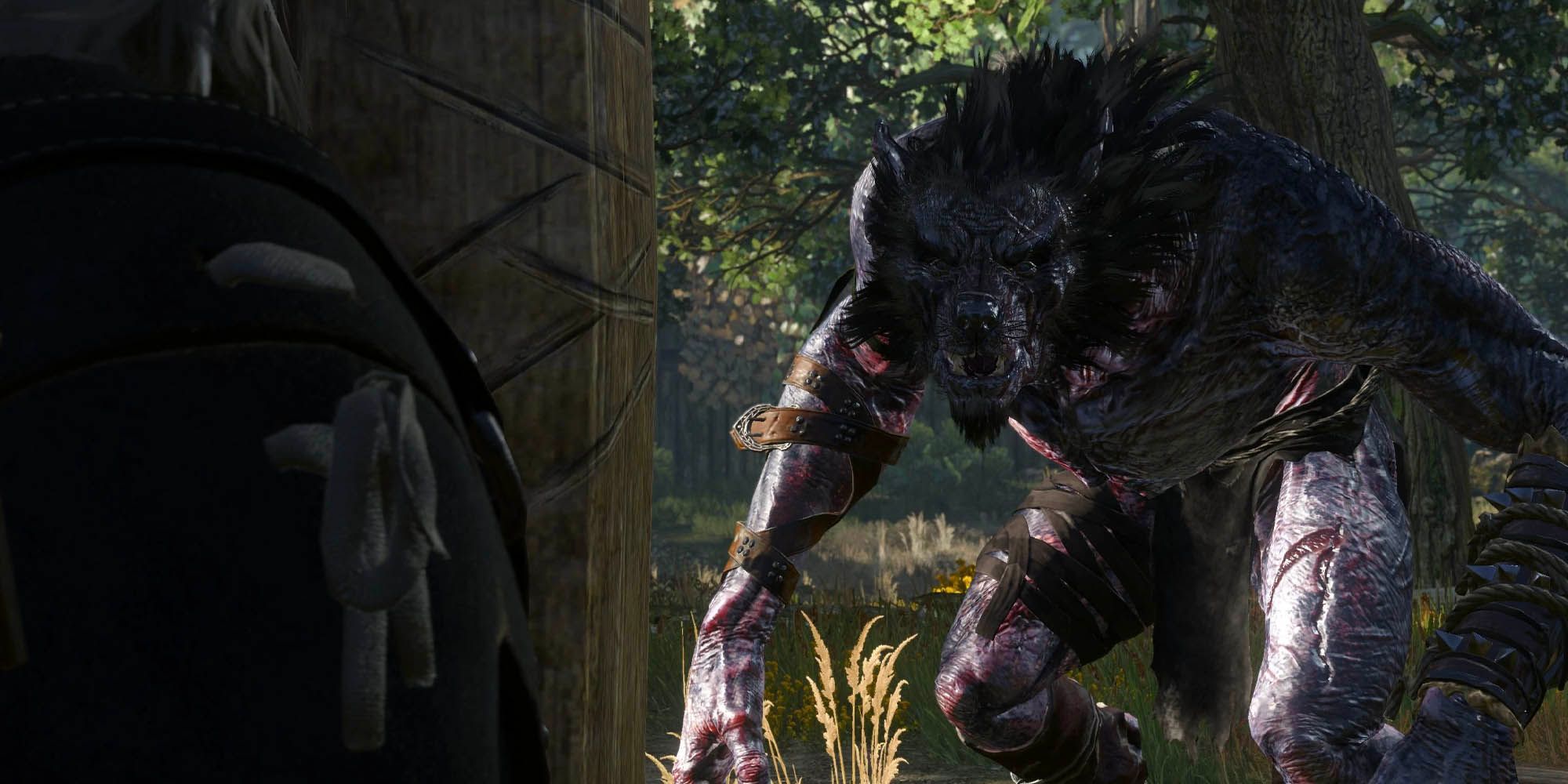 werewolf attacking geralt in the witcher 3