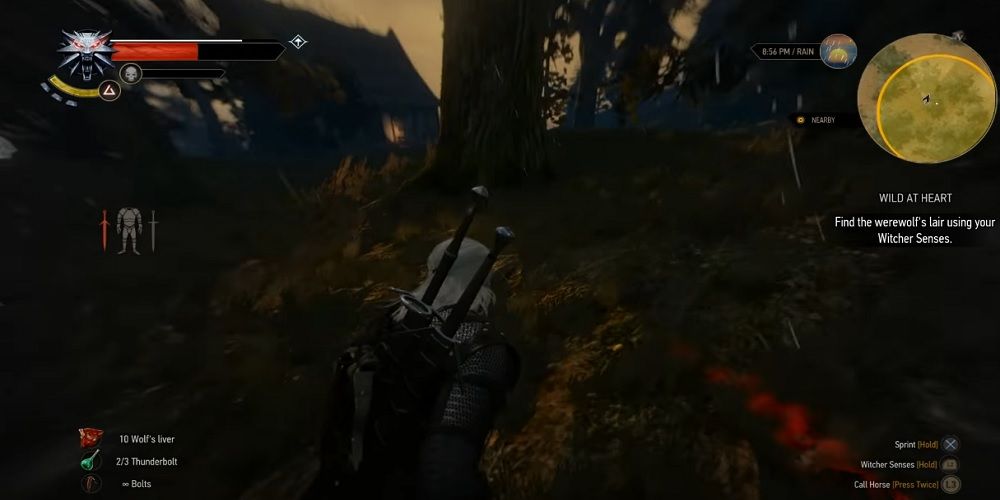 witcher 3 wild at heart strategy