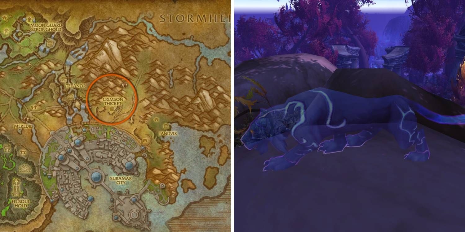 The location of the spirit beast Thicket Manahunter and Pashya within Suramar in World of Warcraft