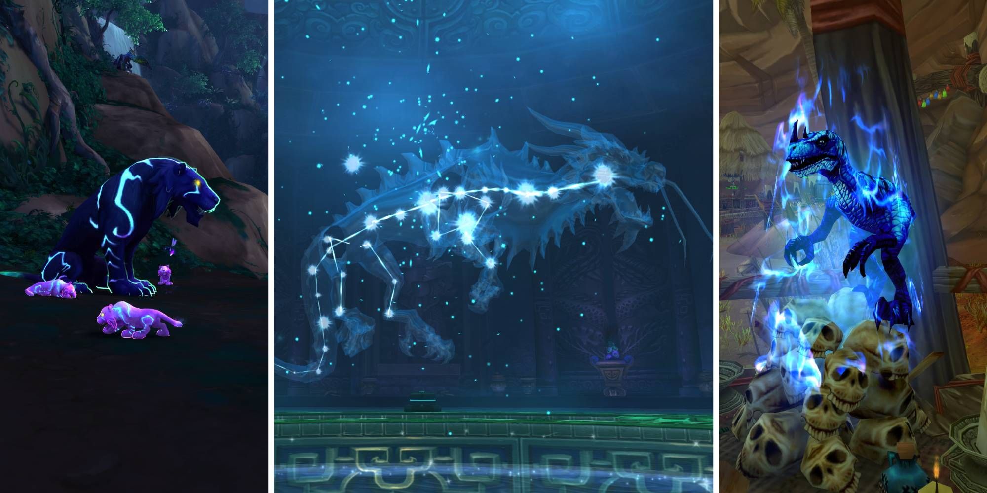 WoW Spirit Beasts Guide Feature Image showing Myonix, Elegon, and Gon