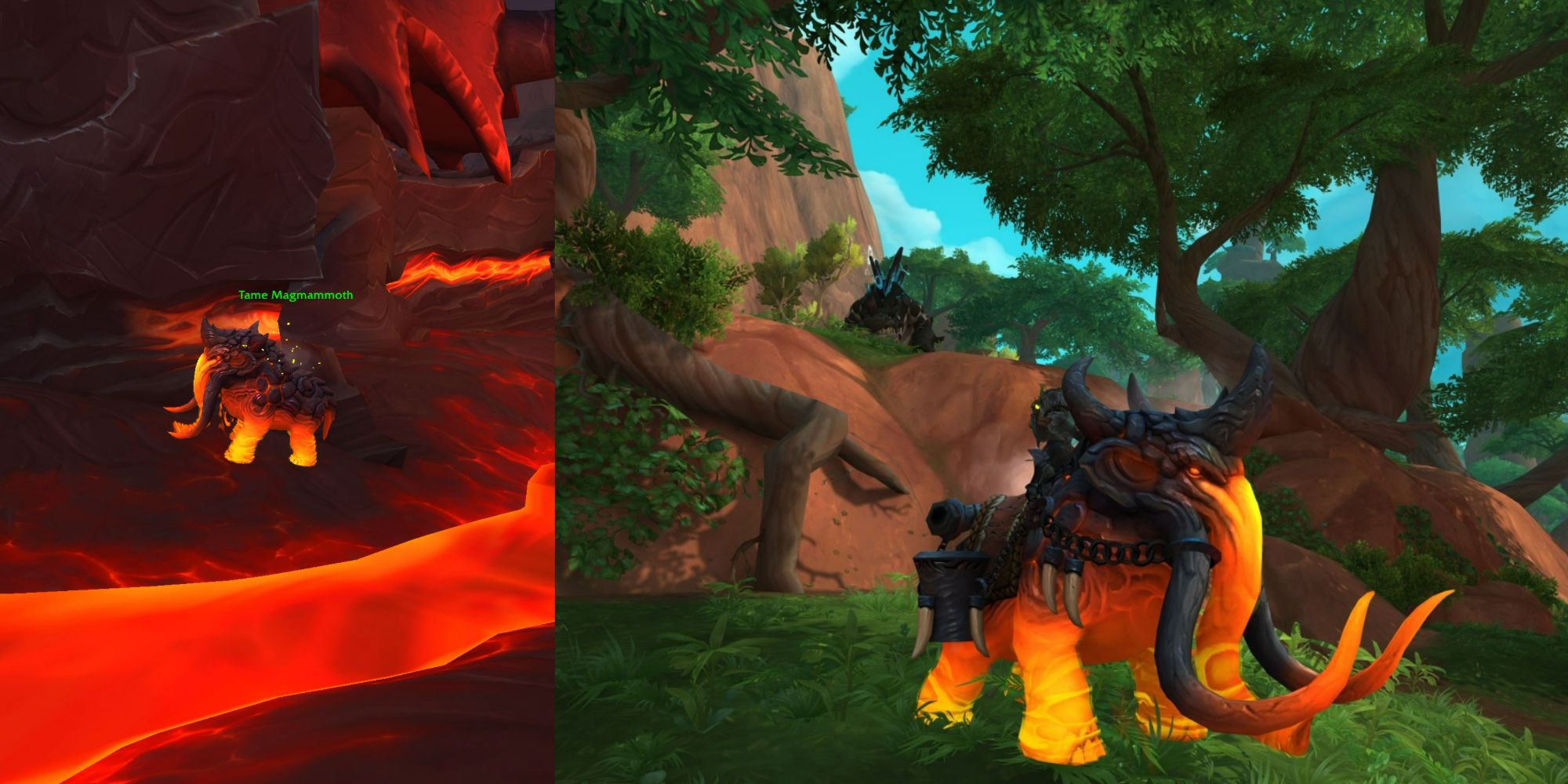WoW split image of Tame magmammoth into loyal magmammoth mount