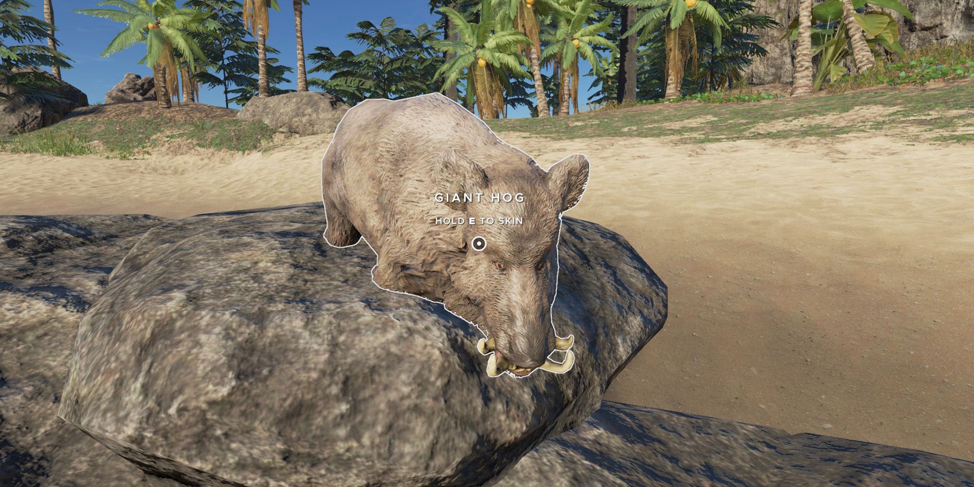 a giant hog ready to be eaten in stranded deep