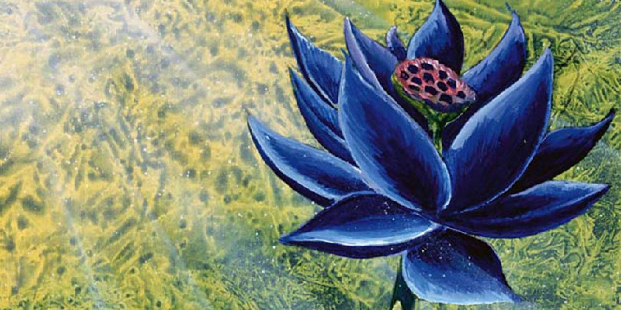 Magic: The Gathering’s Black Lotus Sells For Record-Breaking 0,000