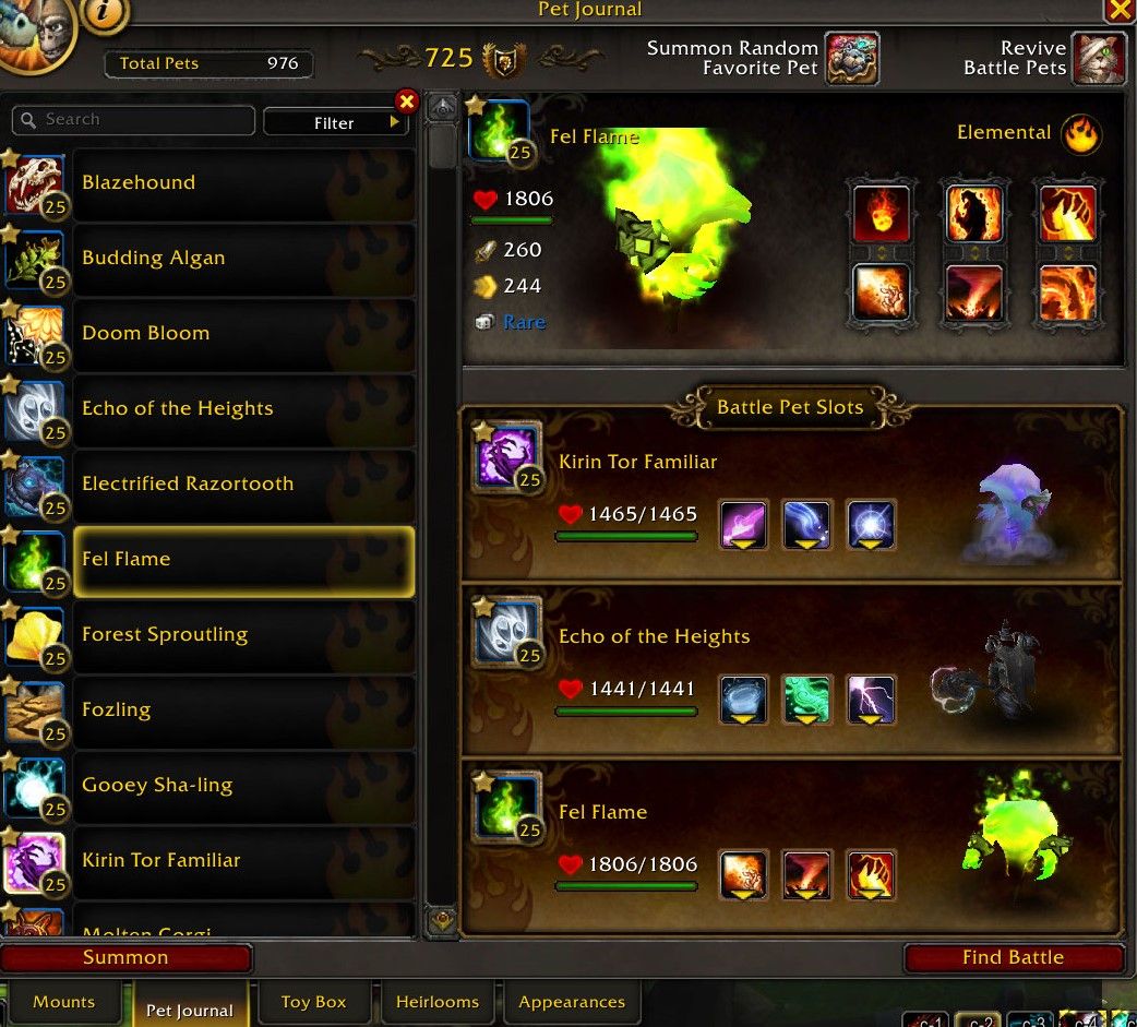 World of Warcraft Bakhushek against elemental pet team