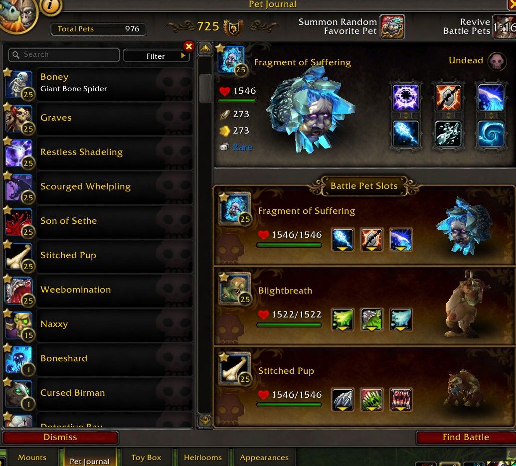 World of Warcraft Bakhushek against undead pet team