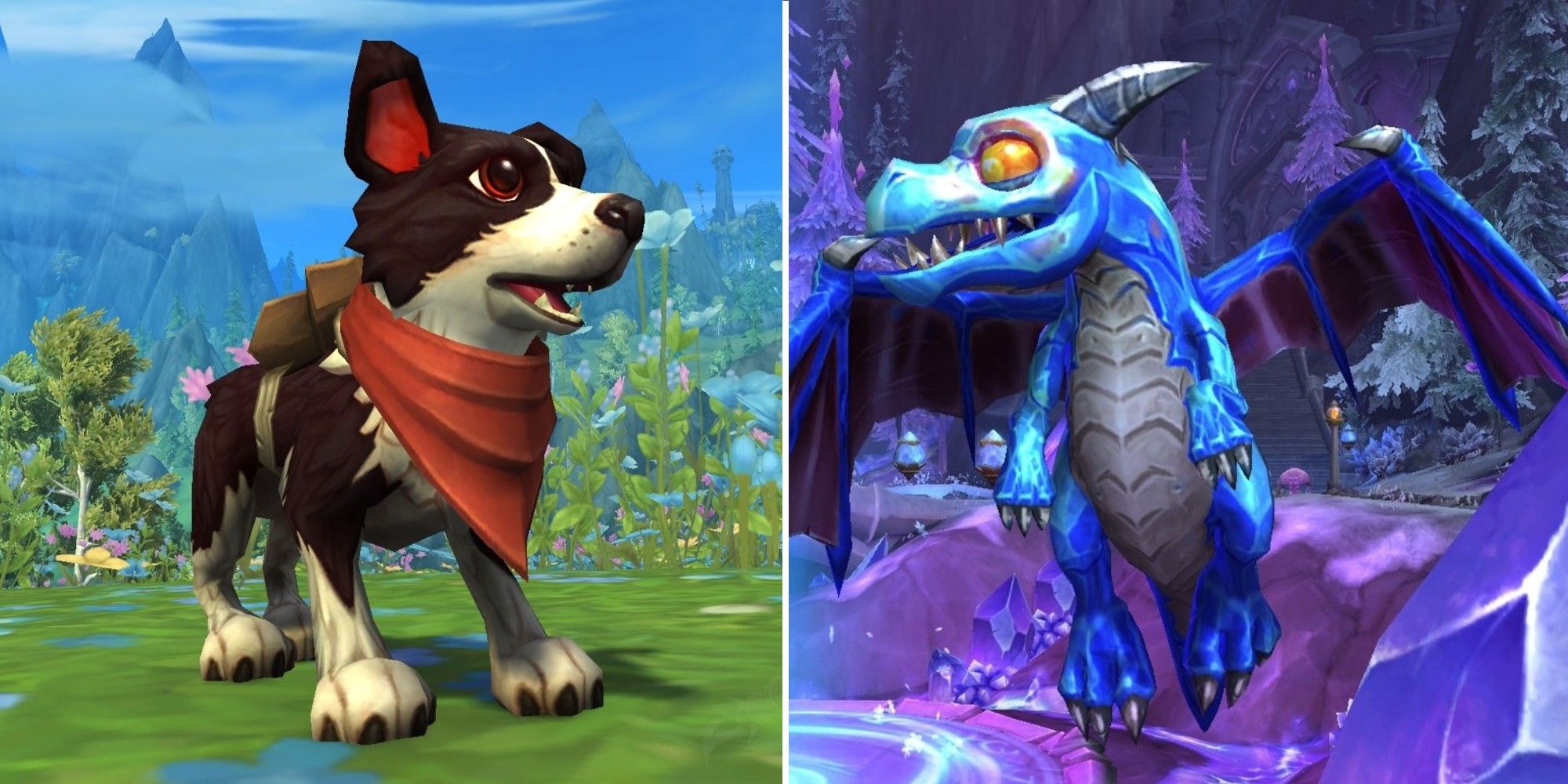 World of Warcraft Dragonflight 10 Rarest Battle Pets