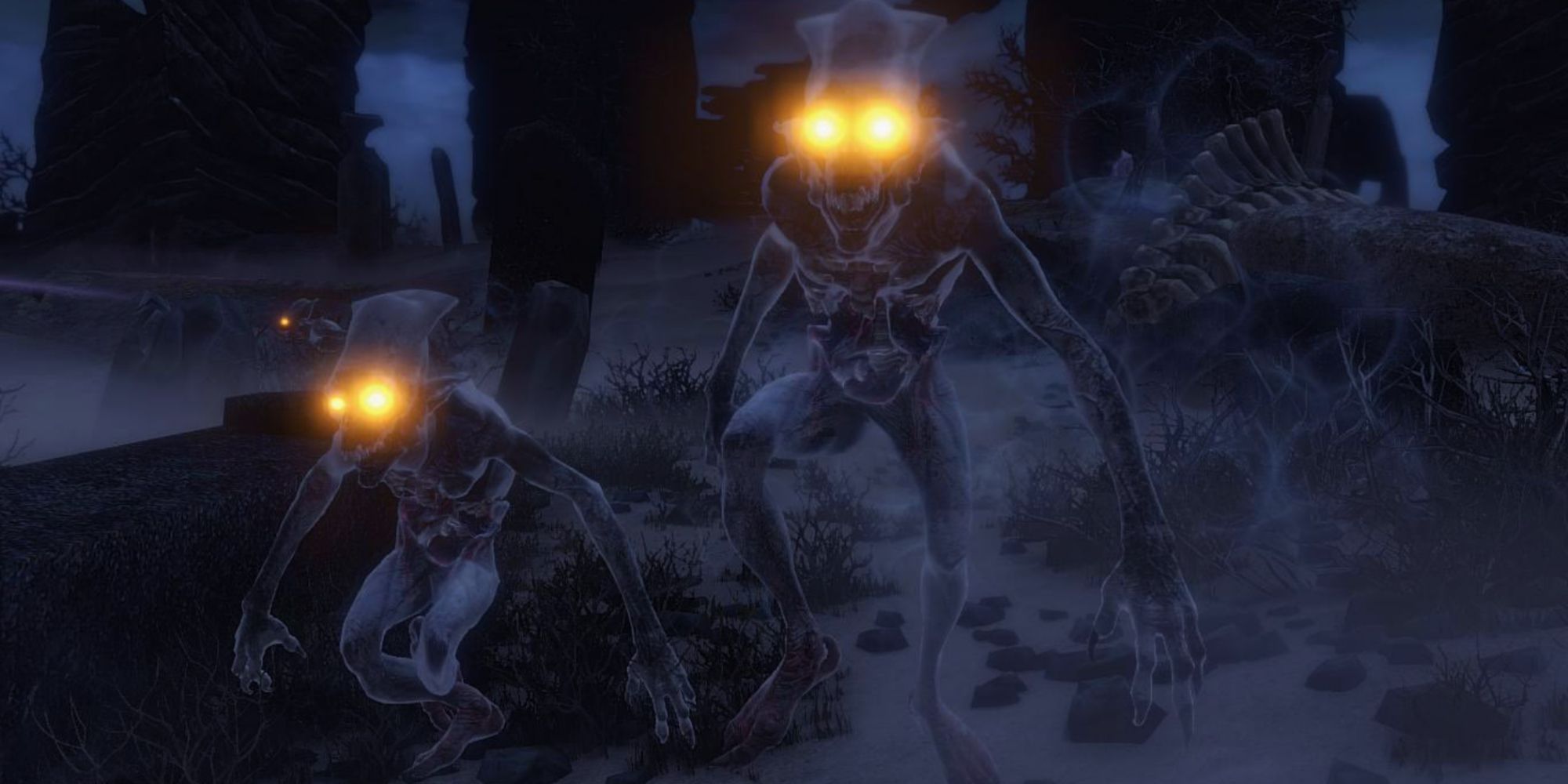 A screenshot of two foglings with glowing eyes at night in Skyrim