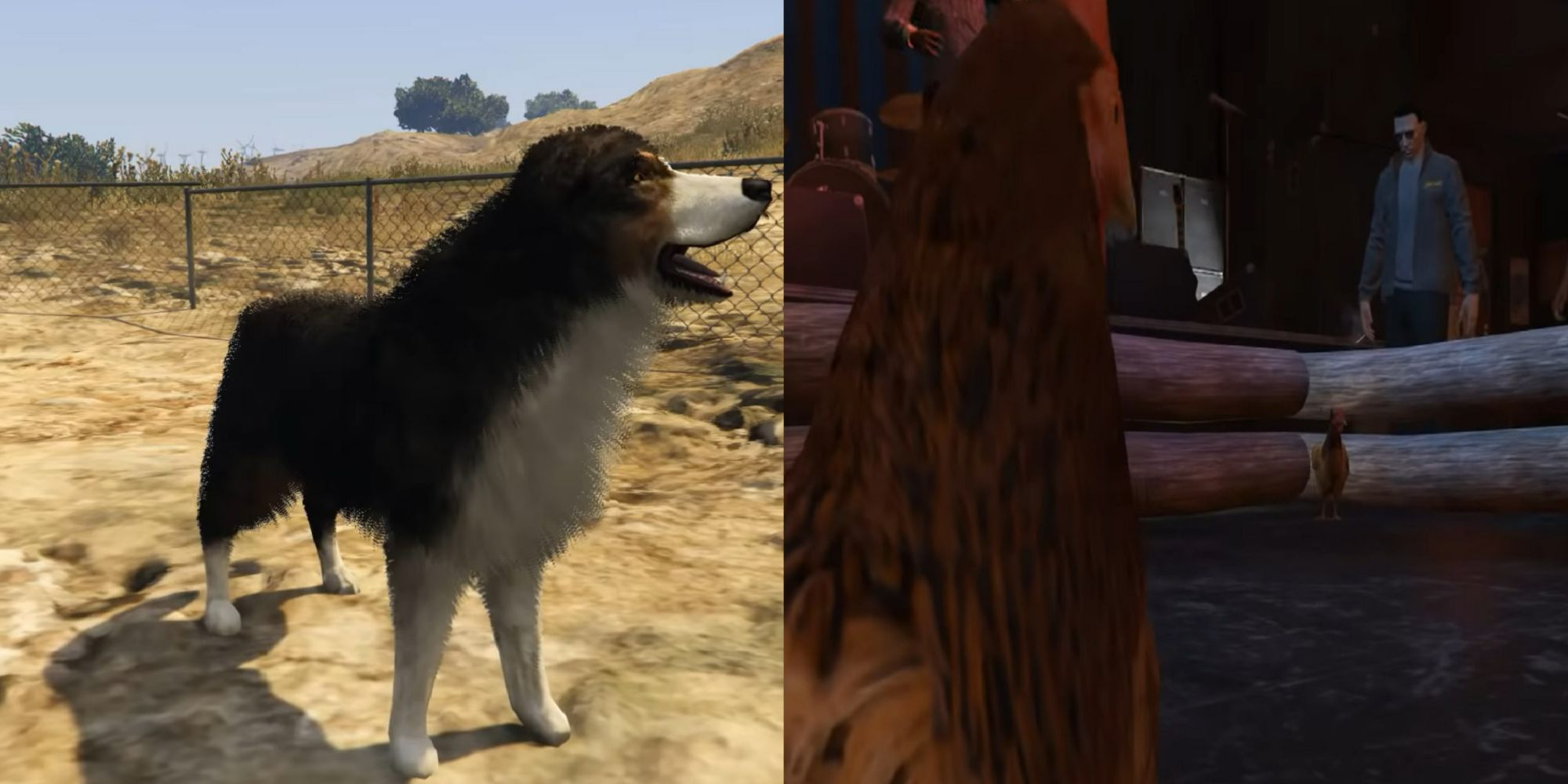 Split image of a dog and a chicken in GTA Online