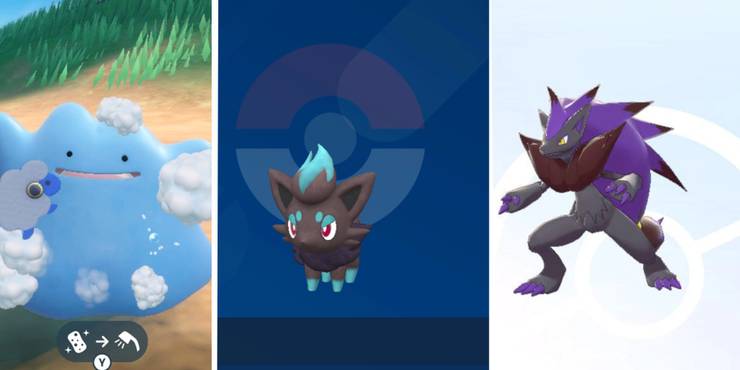 ditto-zorua-zoroark.jpg (740×370)