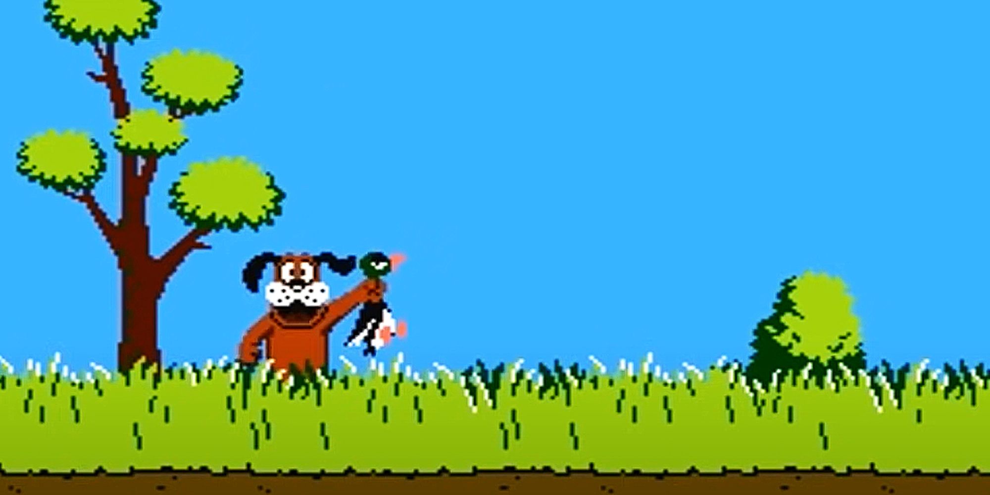 Duck Hunt Dog Holding A Duck