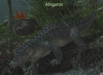 Final Fantasy 14 Alligator