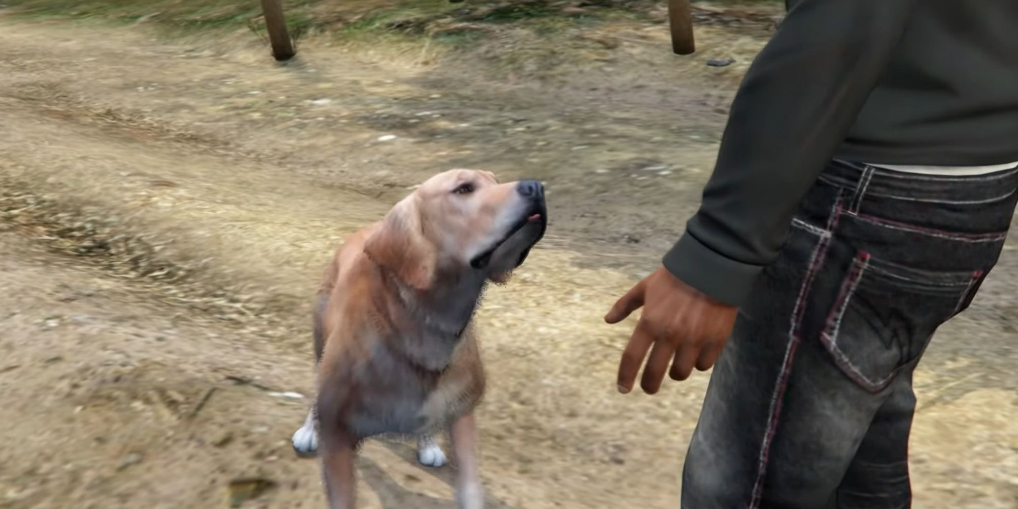 Ghost Dog in Grand Theft Auto V