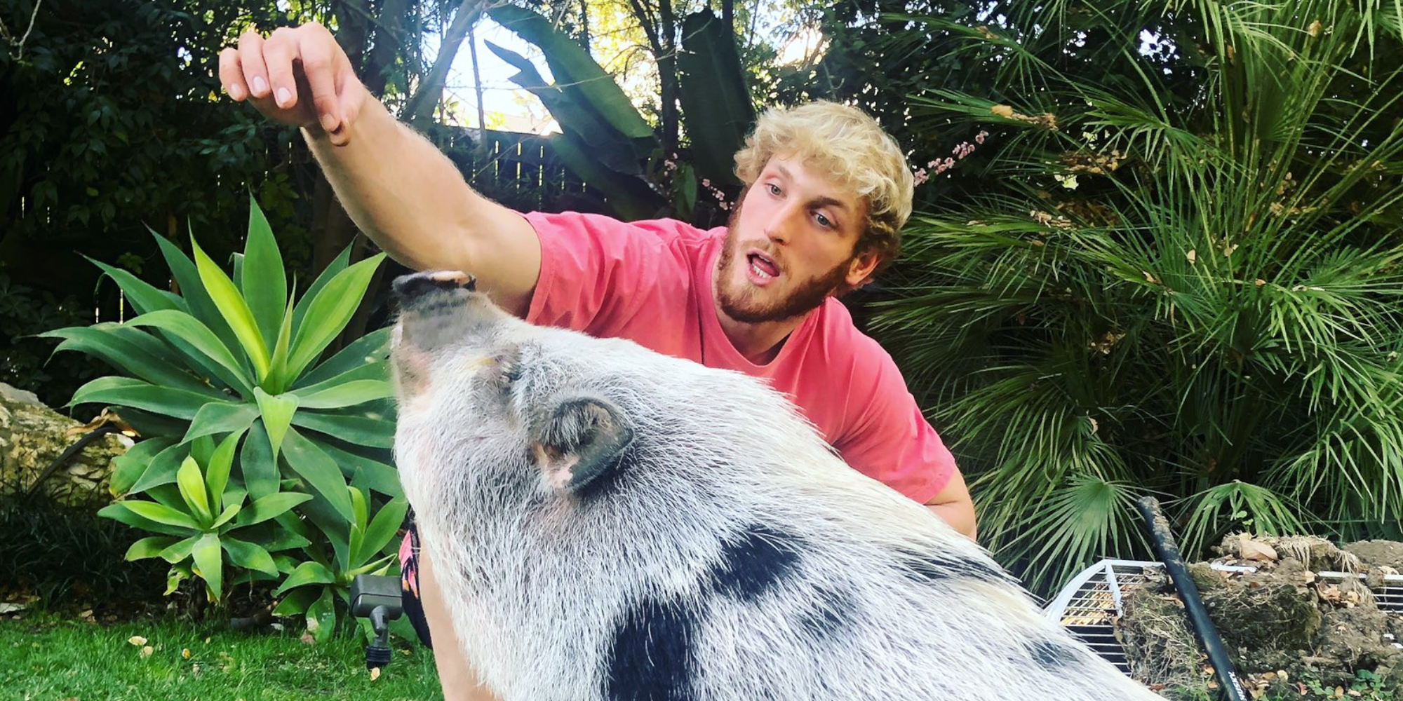 logan paul playing with his pet pig both sat on the ground-1