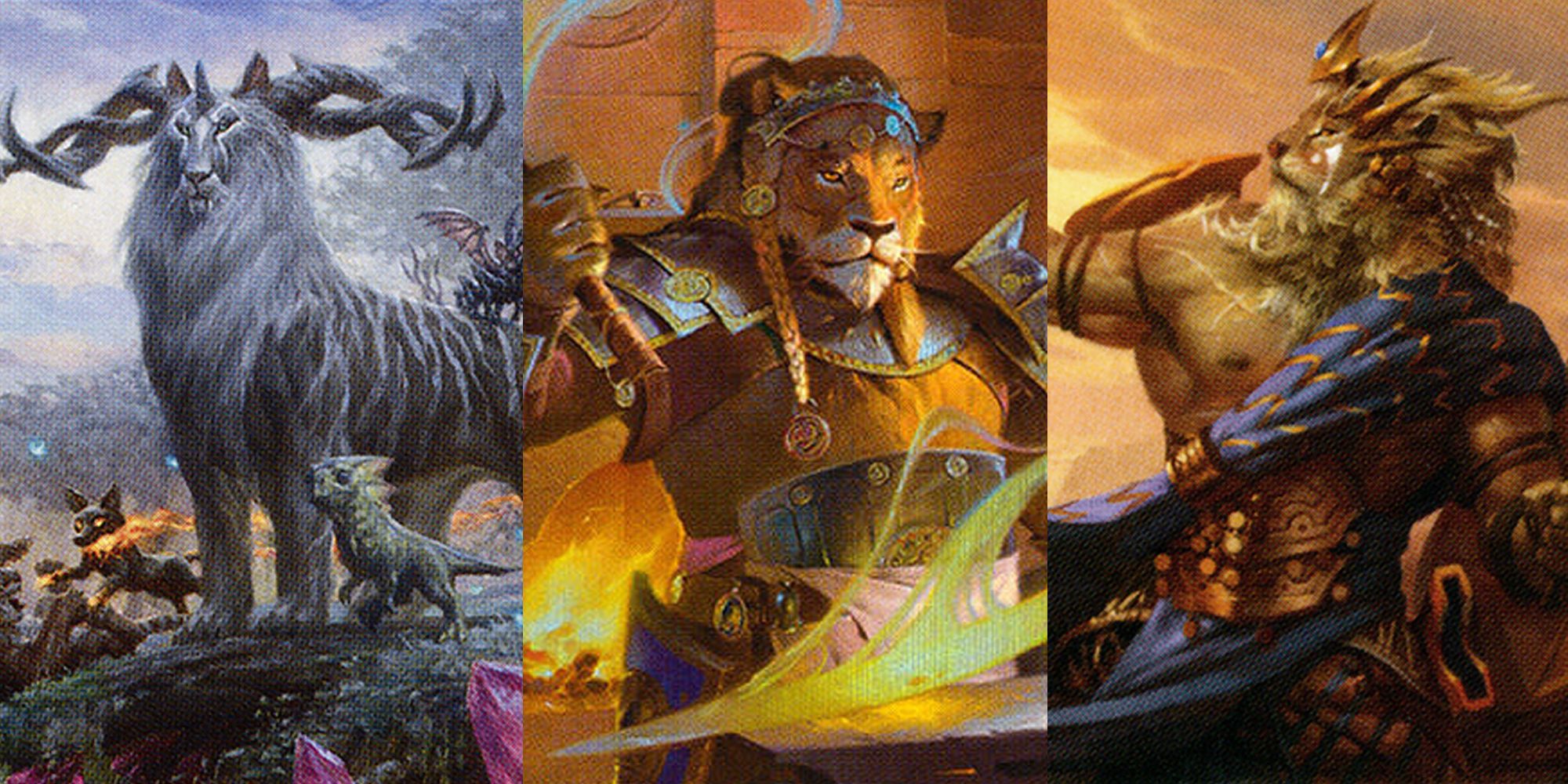 10 Best Cat Deck Commanders