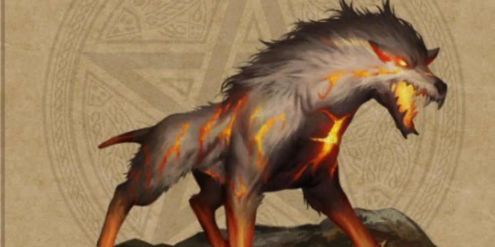 chaos fire dog