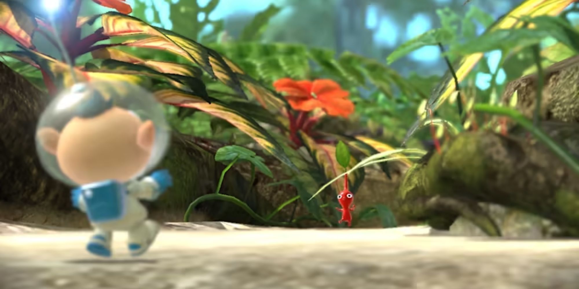 Alph and a Red Pikmin scare each other in a jungle
