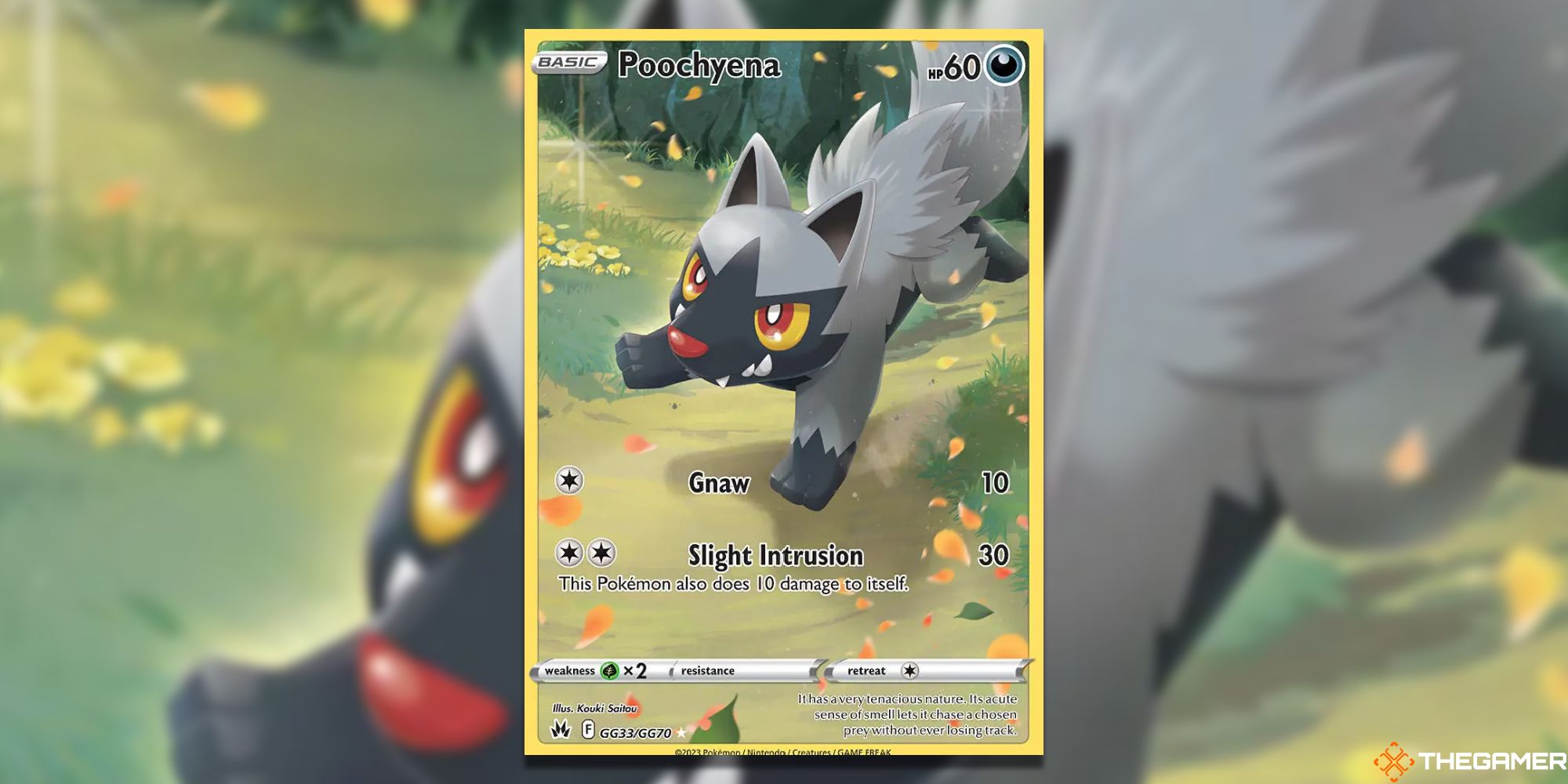 Pokemon TCG – Every Dark-Type Pokemon In Crown Zenith, Ranked Poochyena Galarian Gallery