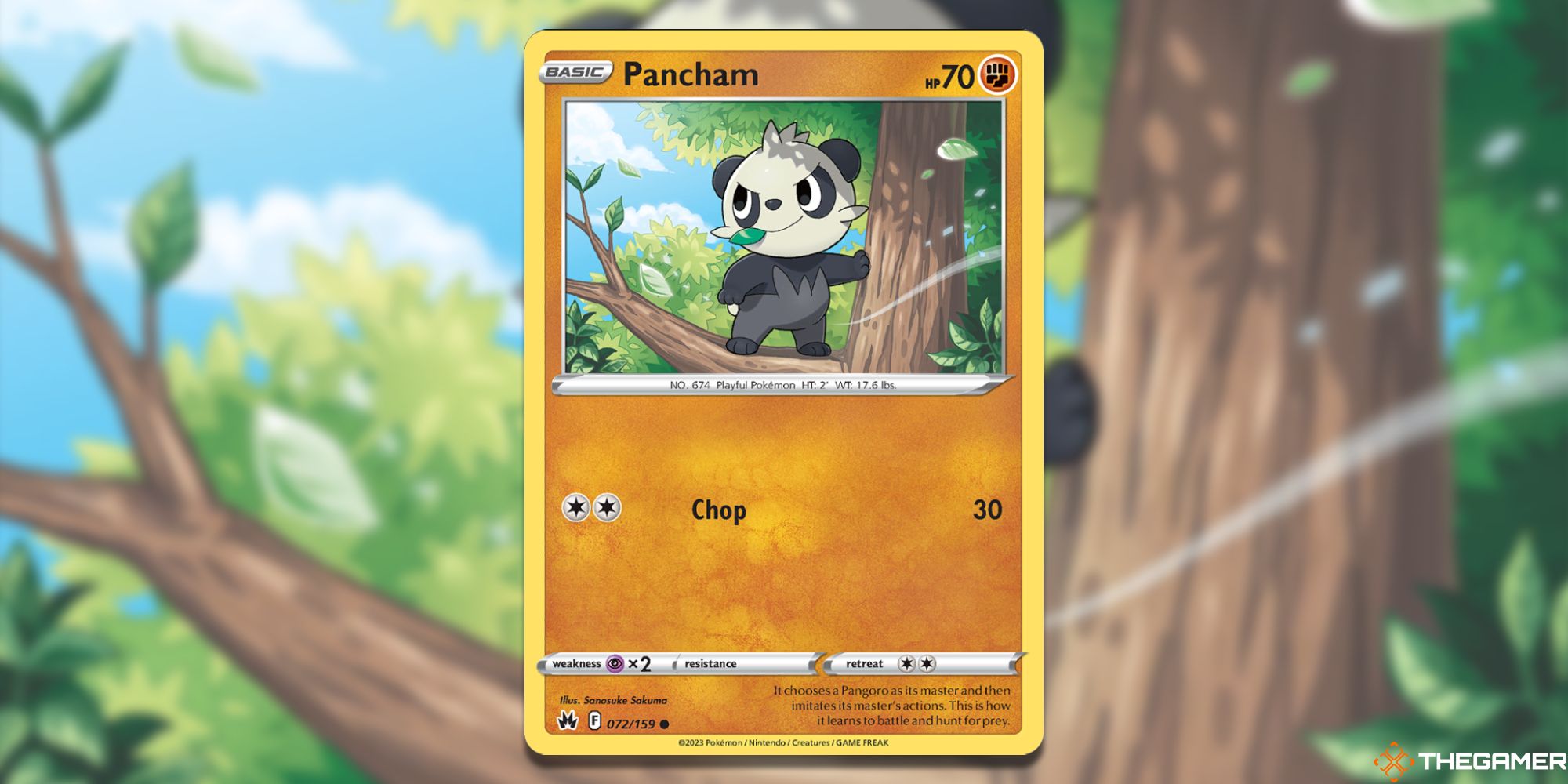 Pokemon TCG –  Every Fighting-Type Pokemon In Crown Zenith, Ranked Pancham