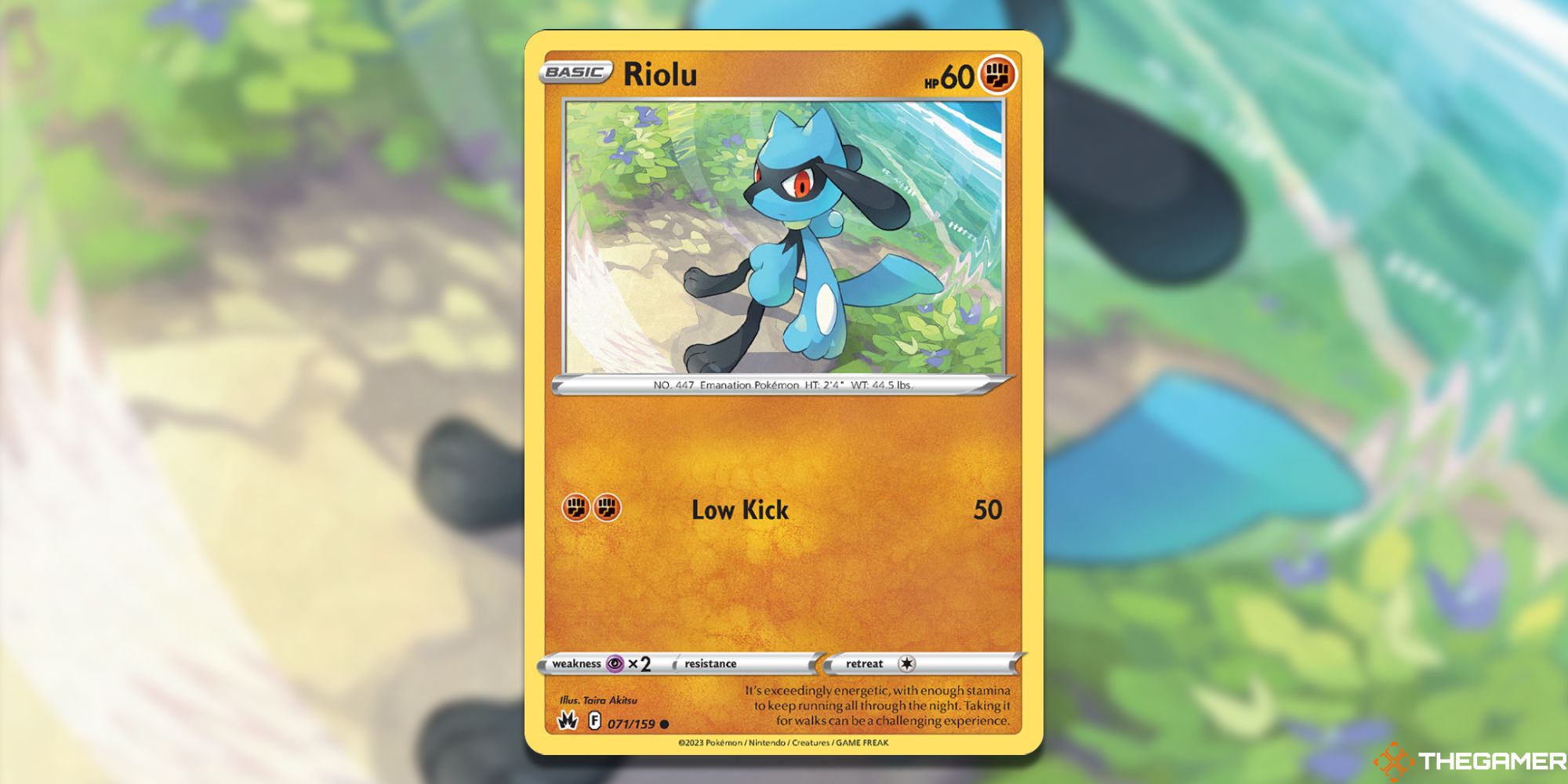 Pokemon TCG –  Every Fighting-Type Pokemon In Crown Zenith, Ranked Riolu