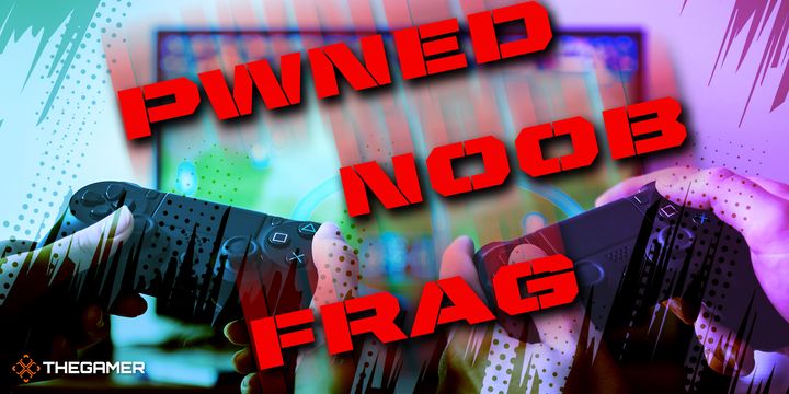 pwned noog frag outdated video game words