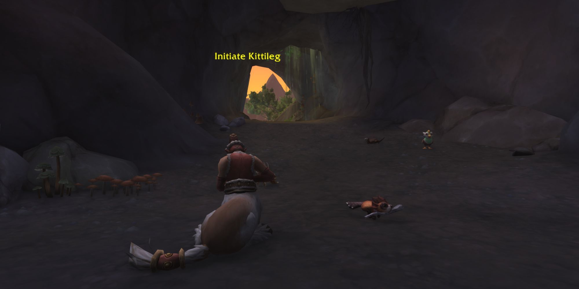 Initiate Kittileg kneeling inside cave with small cute creatures running around