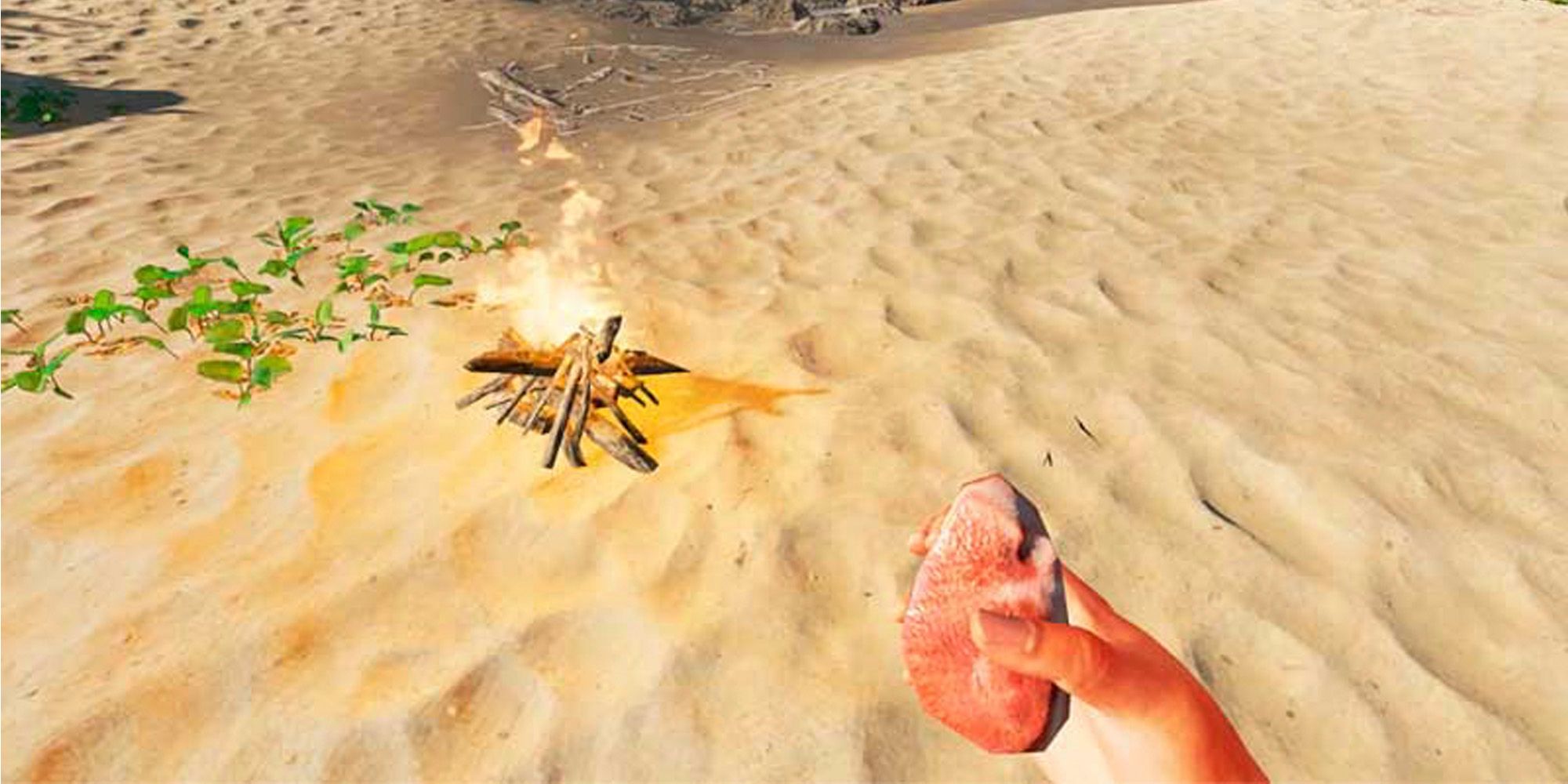 raw meat in stranded deep