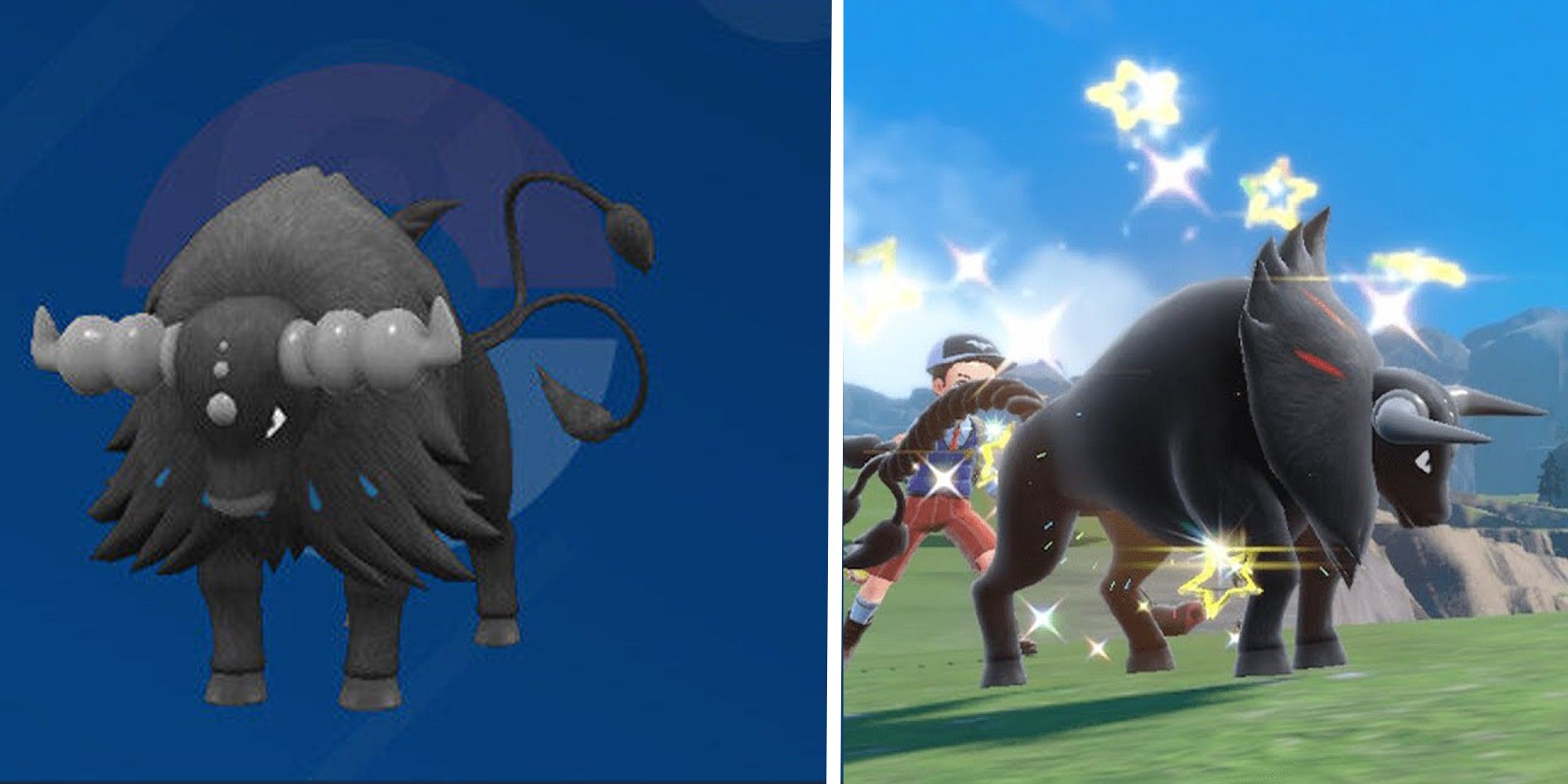 Pokemon Scarlet & Violet: Shiny Aqua And Blaze Breeds Of Tauros hardest shiny pokemon