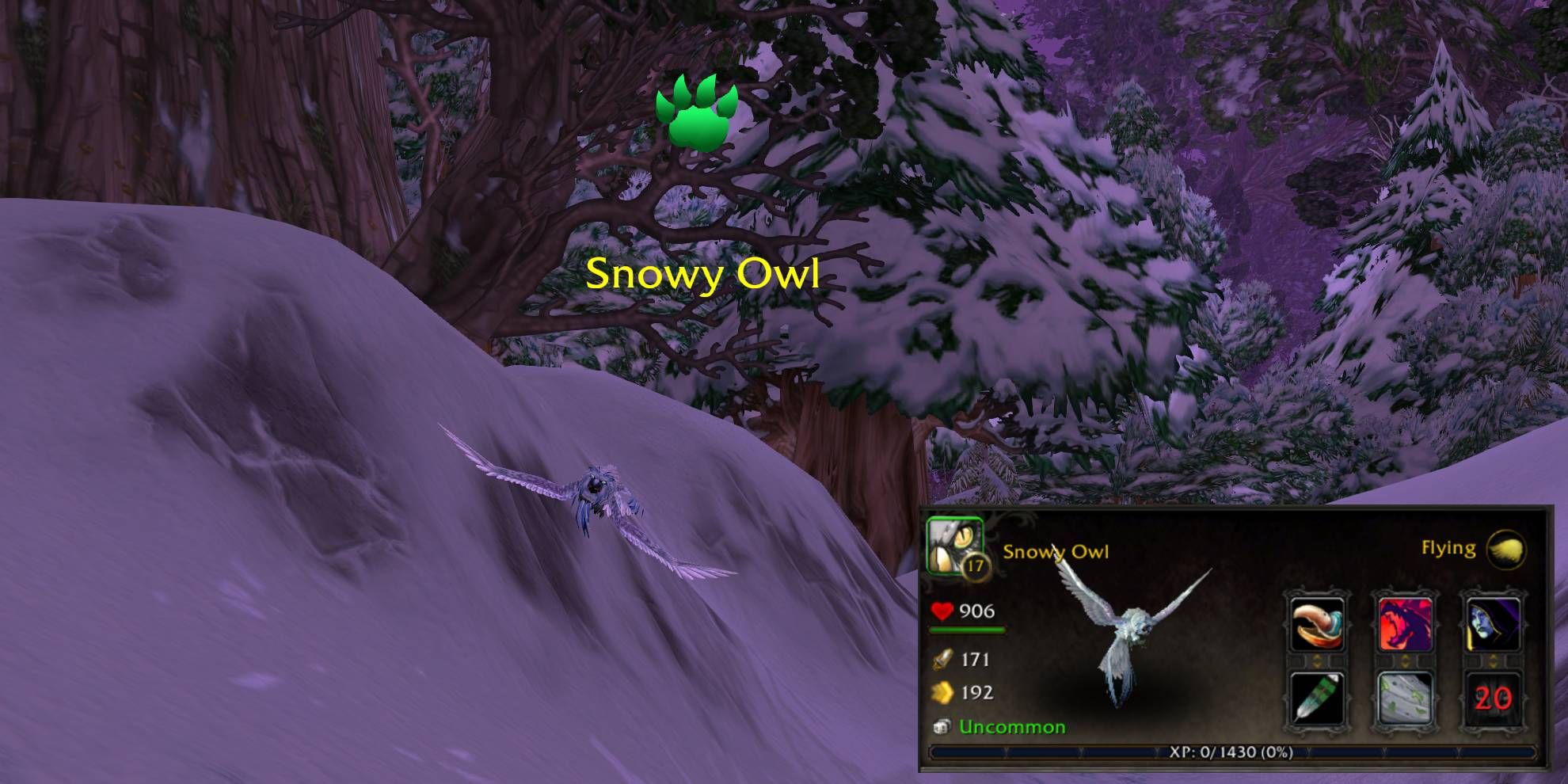 Where To Get The Snowy Owl Battle Pet In WoW: Dragonflight