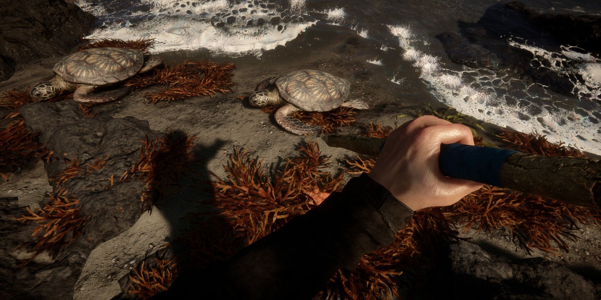 Sons Of The Forest, Hunting Sea Turtles On The Beach