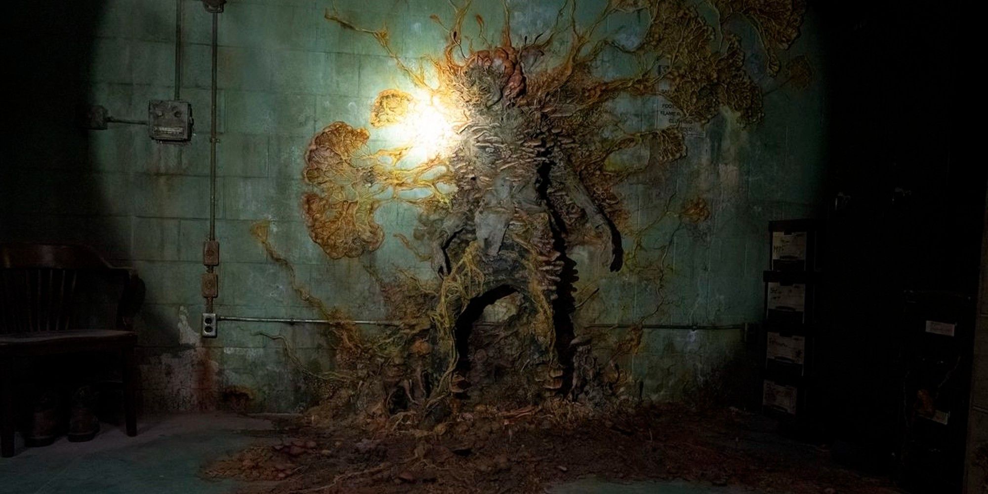 the last of us cordyceps fungus spread over a corpse and a wall