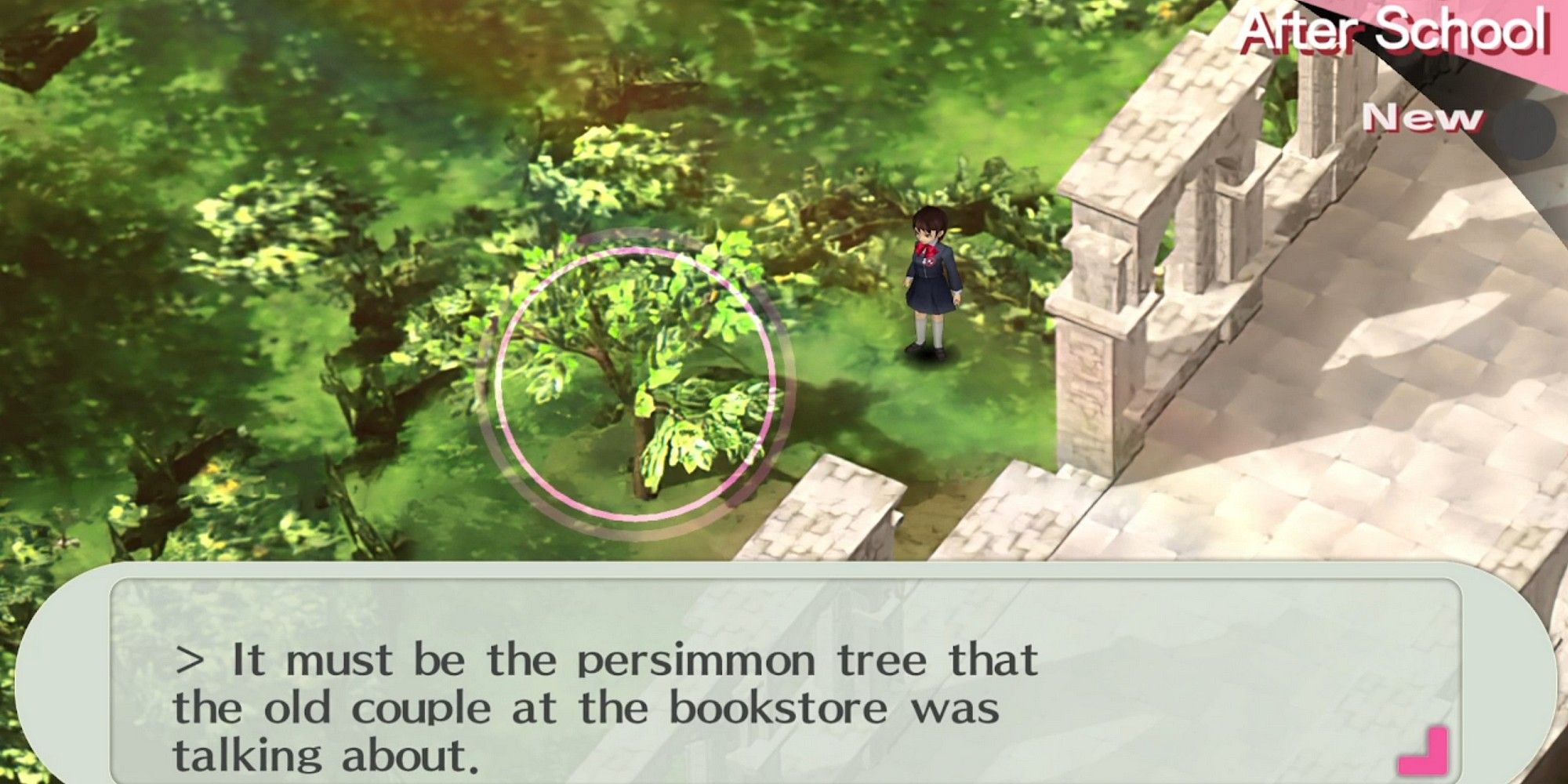 the location of the persimmon tree in persona 3 portable