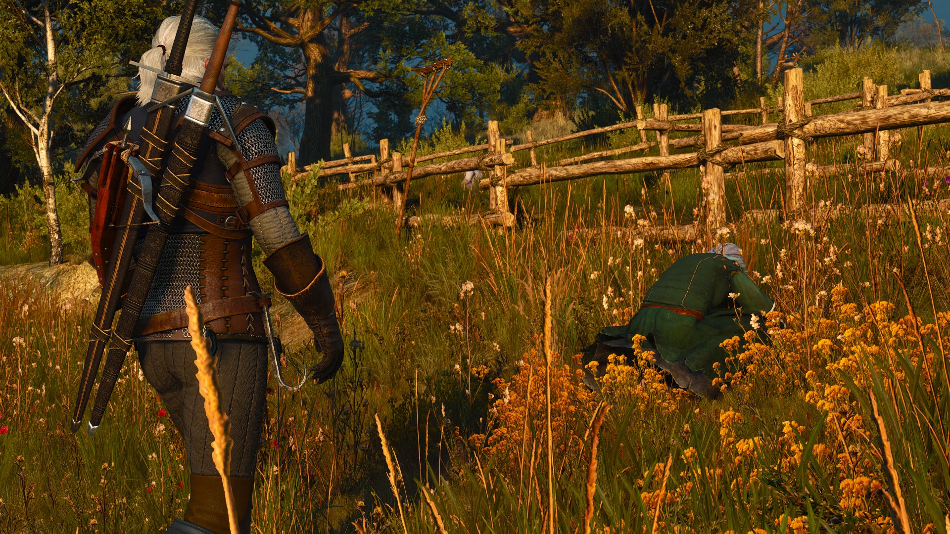 Geralt walks towards an old woman pulling weeds from her field as the sun sets.
