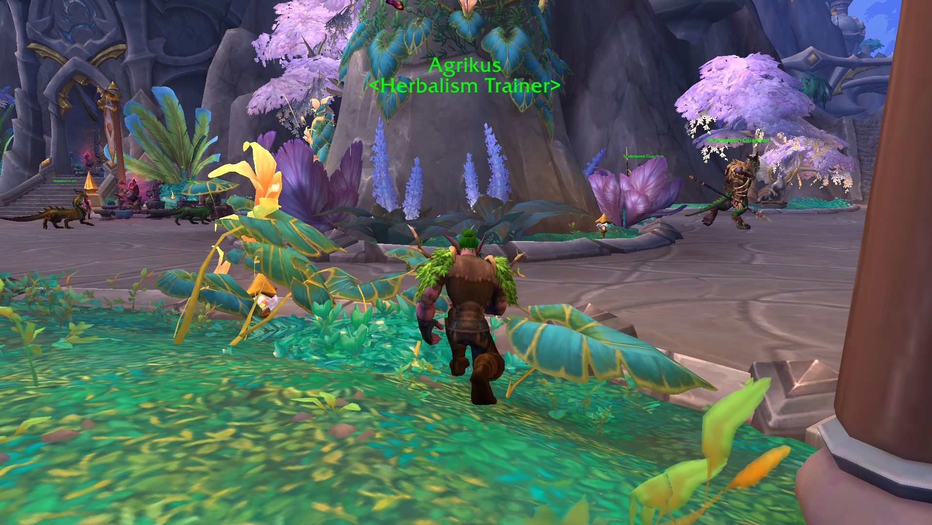 Agrikus, the Dragon Isles Herbalism trainer, in Valdrakken in World of Warcraft.