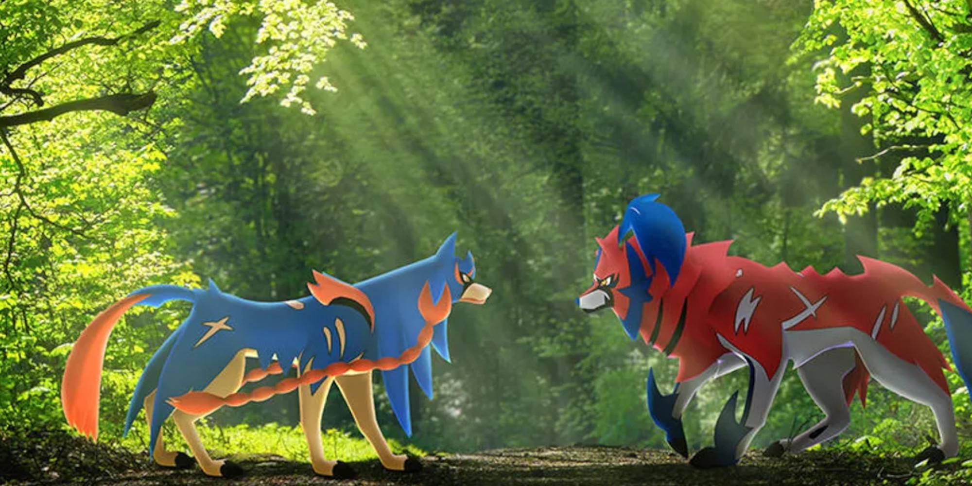 多嚢胞性卵巣症候群 (PCOS)