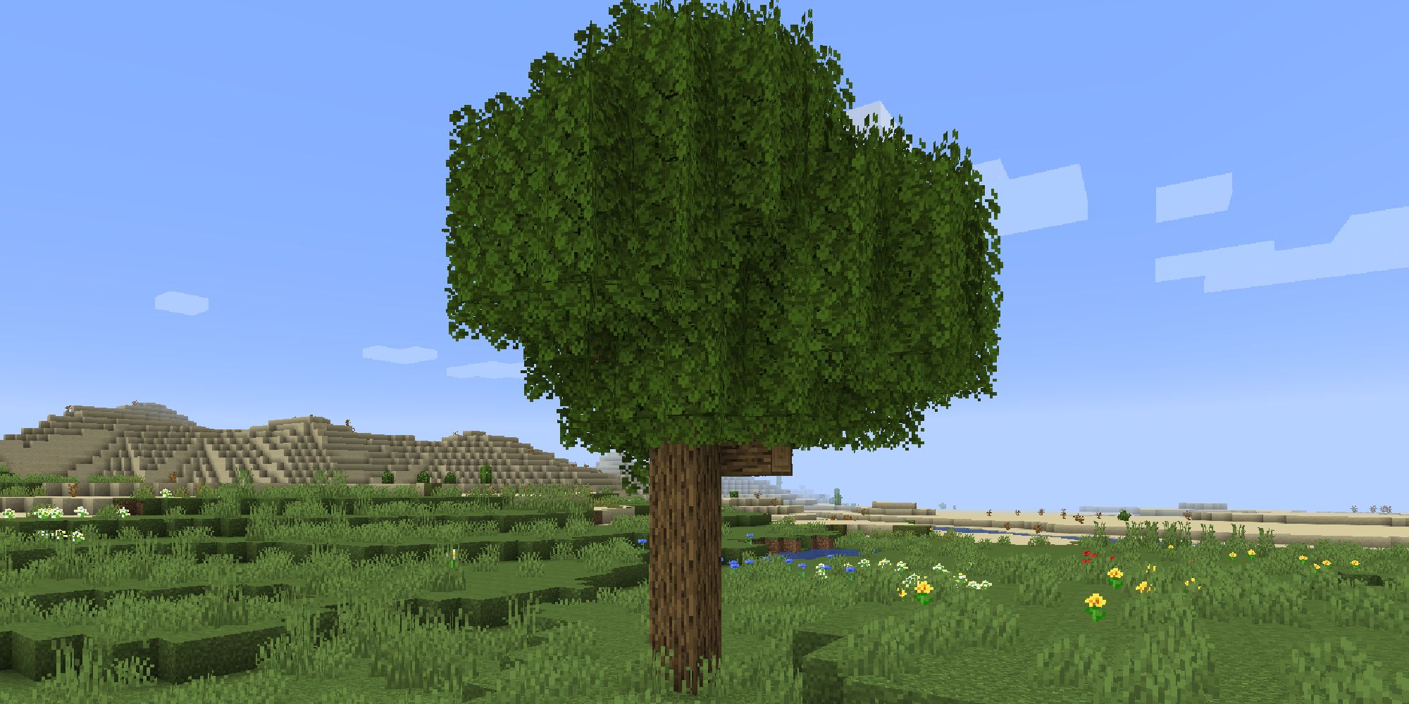 Better Foliage Renewed mod showing a bushy tree