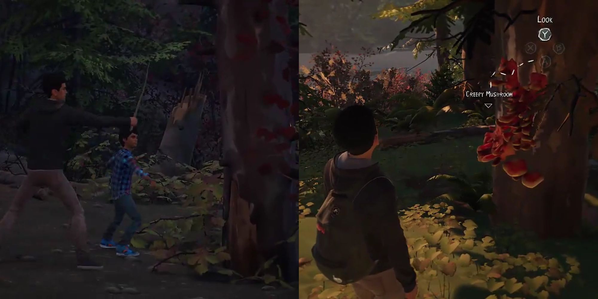 Two-image collage of Daniel and Sean fighting a tree with sticks, pretending its a horde of orcs, and Sean looking at the red mushrooms growing on the tree that resembles Clickers from The Last of Us in Life is Strange 2