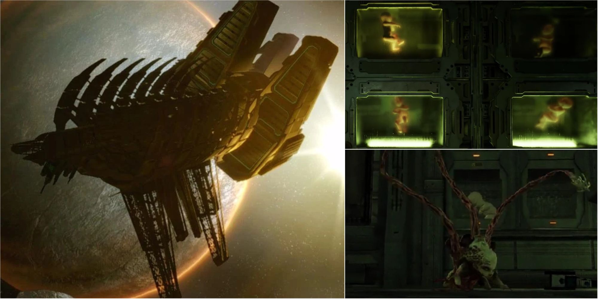 Dead Space: The Ishimura, Baby Storage And Lurkers