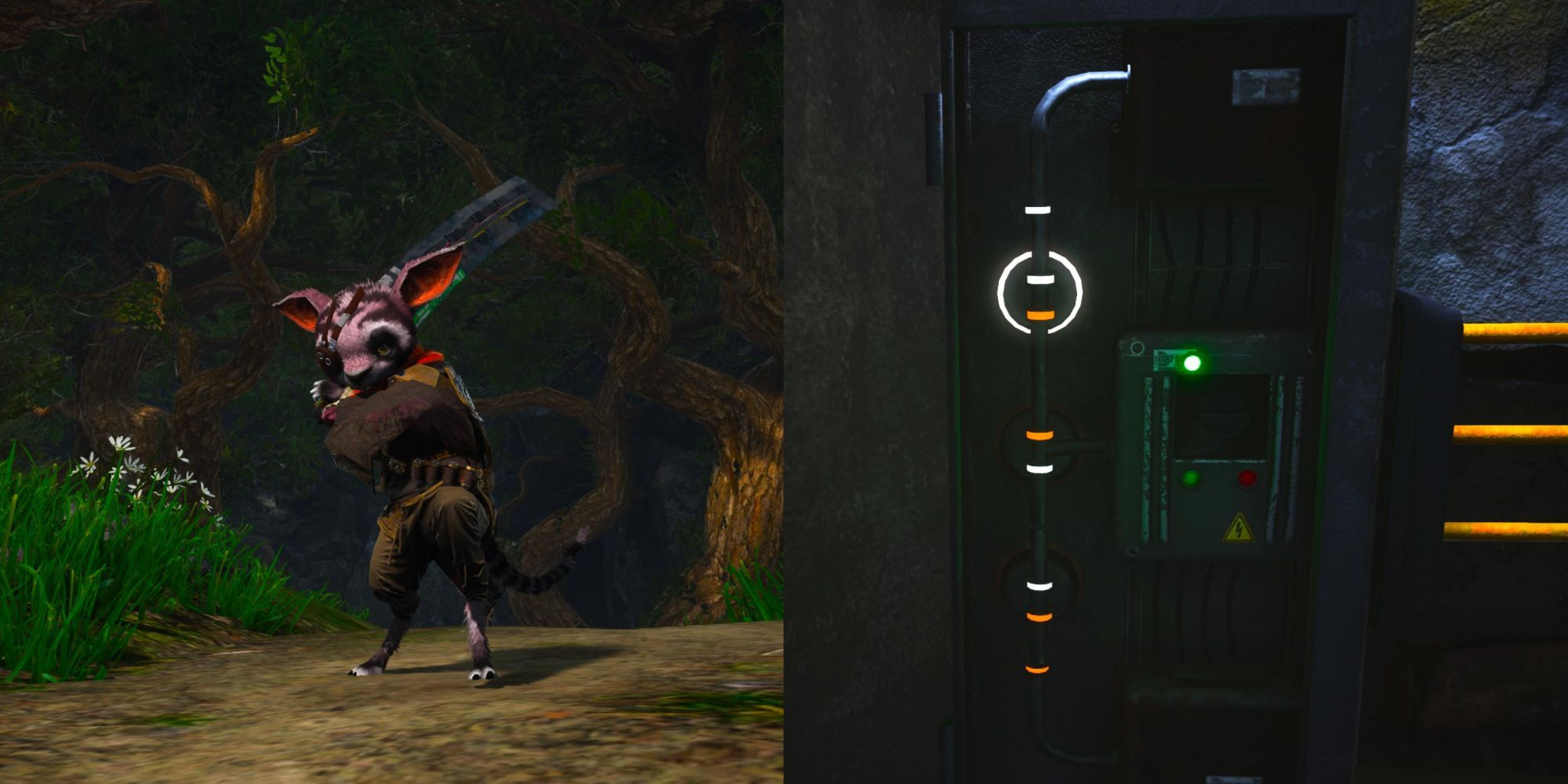 How To Solve Rotational Puzzles In Biomutant