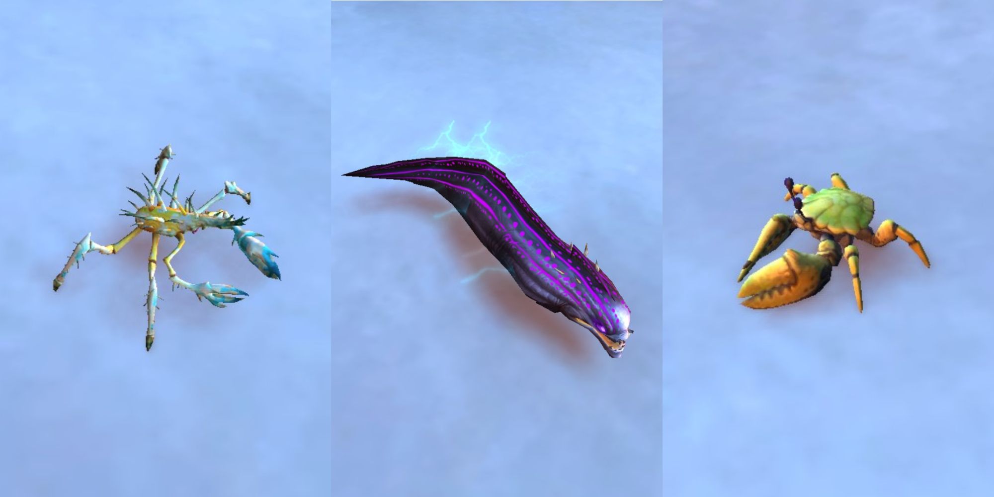 Lightless Ambusher Spawn of G'nathus Sandclaw Sunshell In Game Models in World Of Warcraft