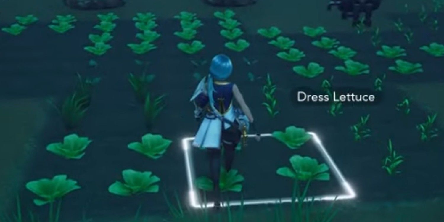 Tips For Your Farm Layout In Harvestella