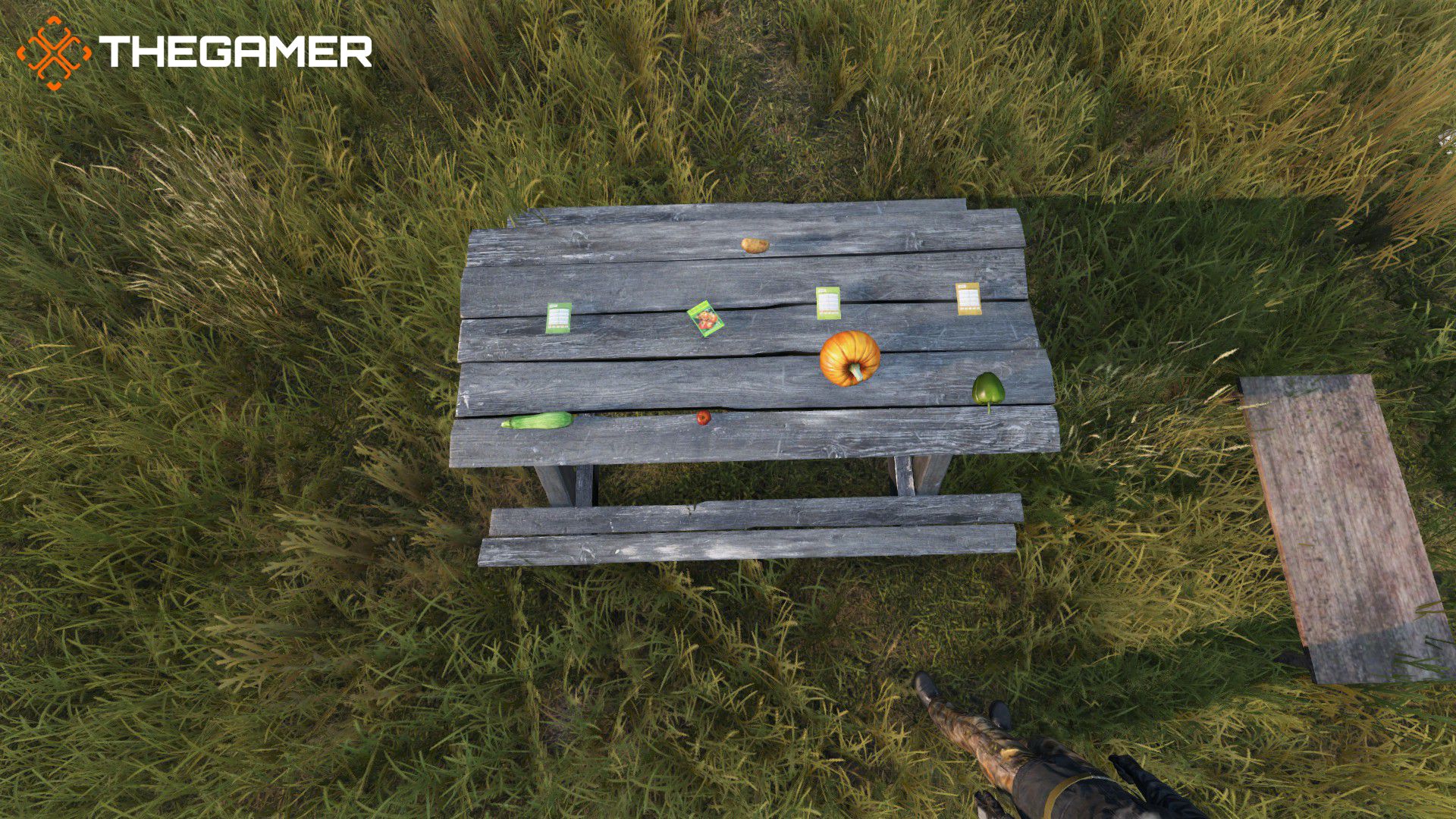 Dayz All Farmable Seeds Close Shot