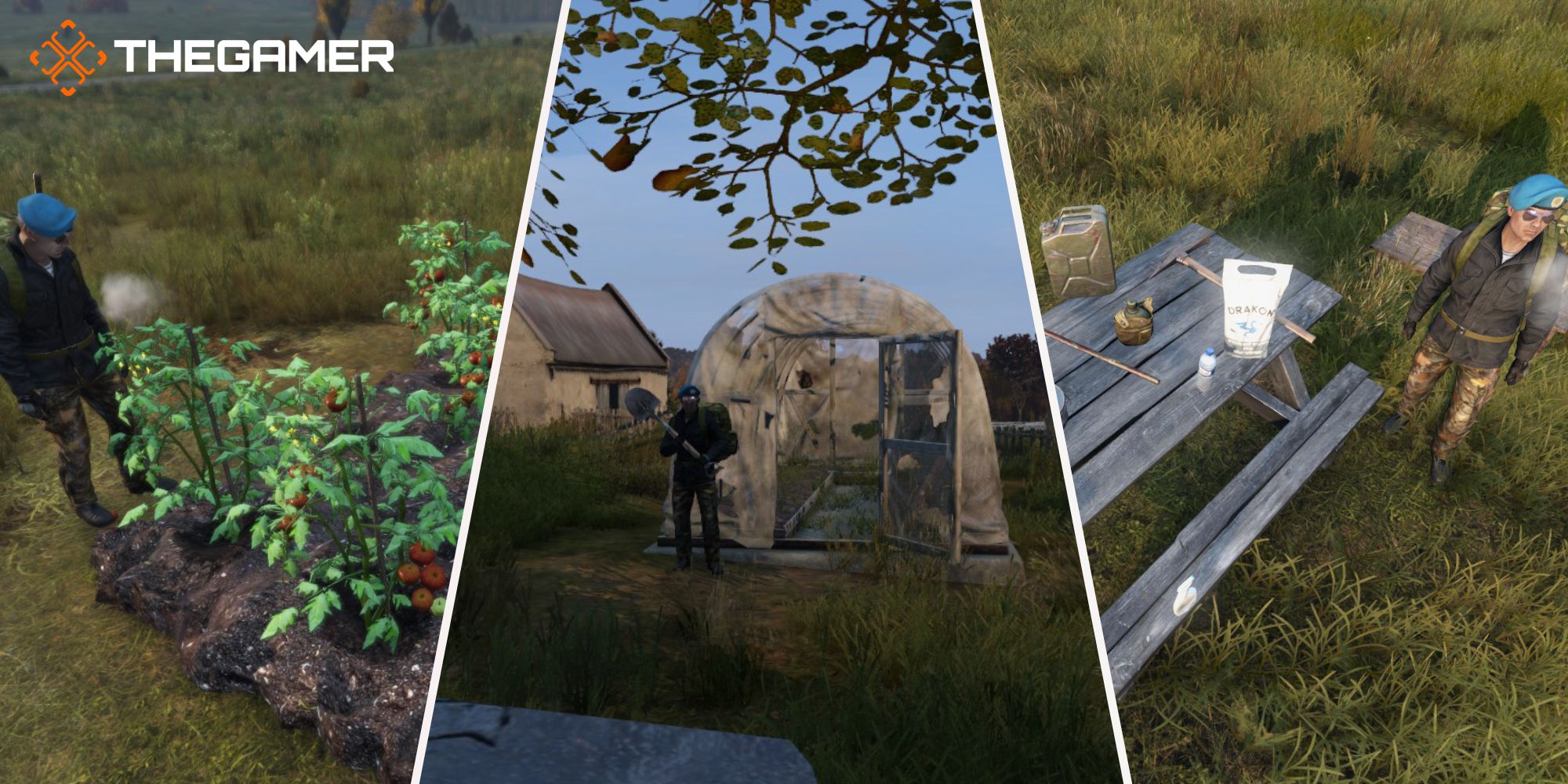 Pyramid Featured Image Consist of Greenhouse, Tomato Farm, and Farming Equipment Images