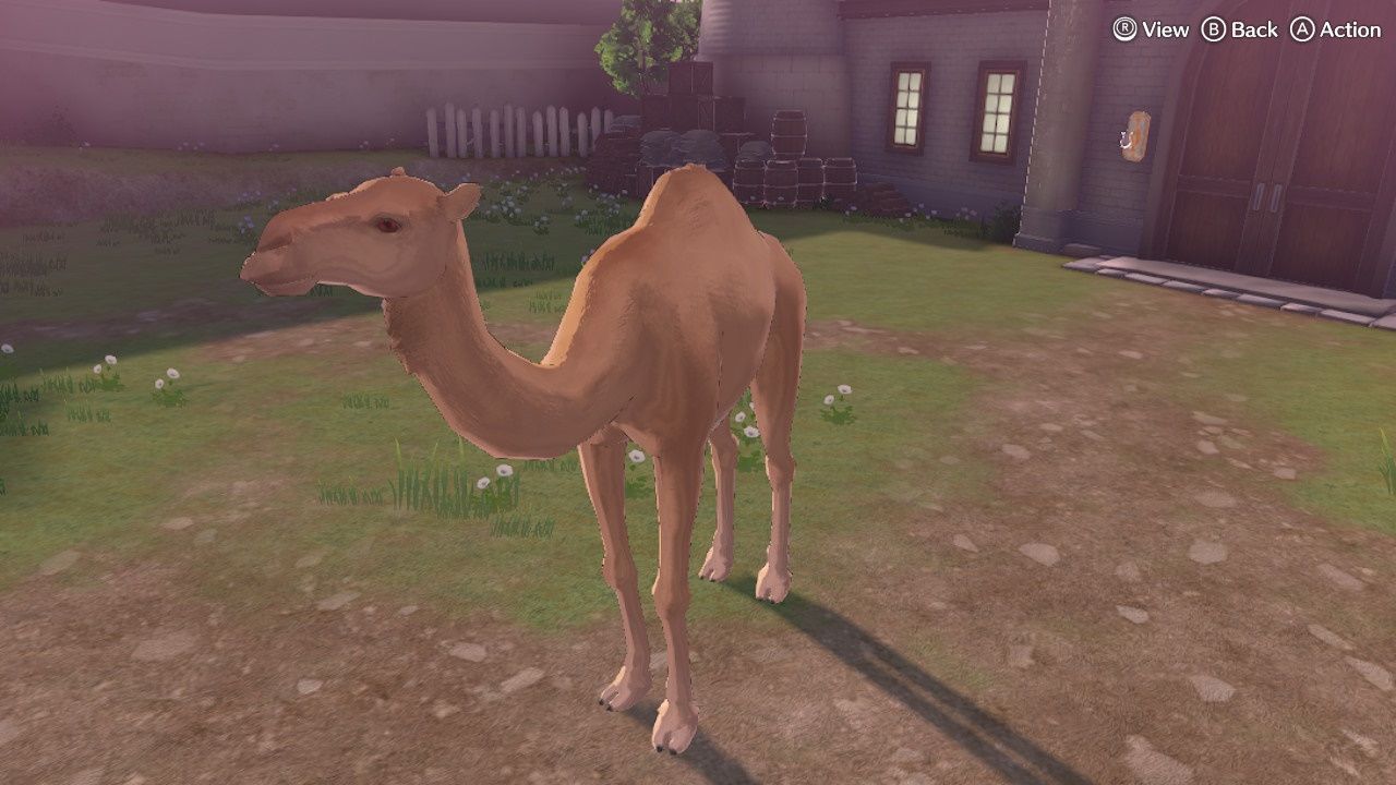 Which Animals Should I Have Graze On My Farm?