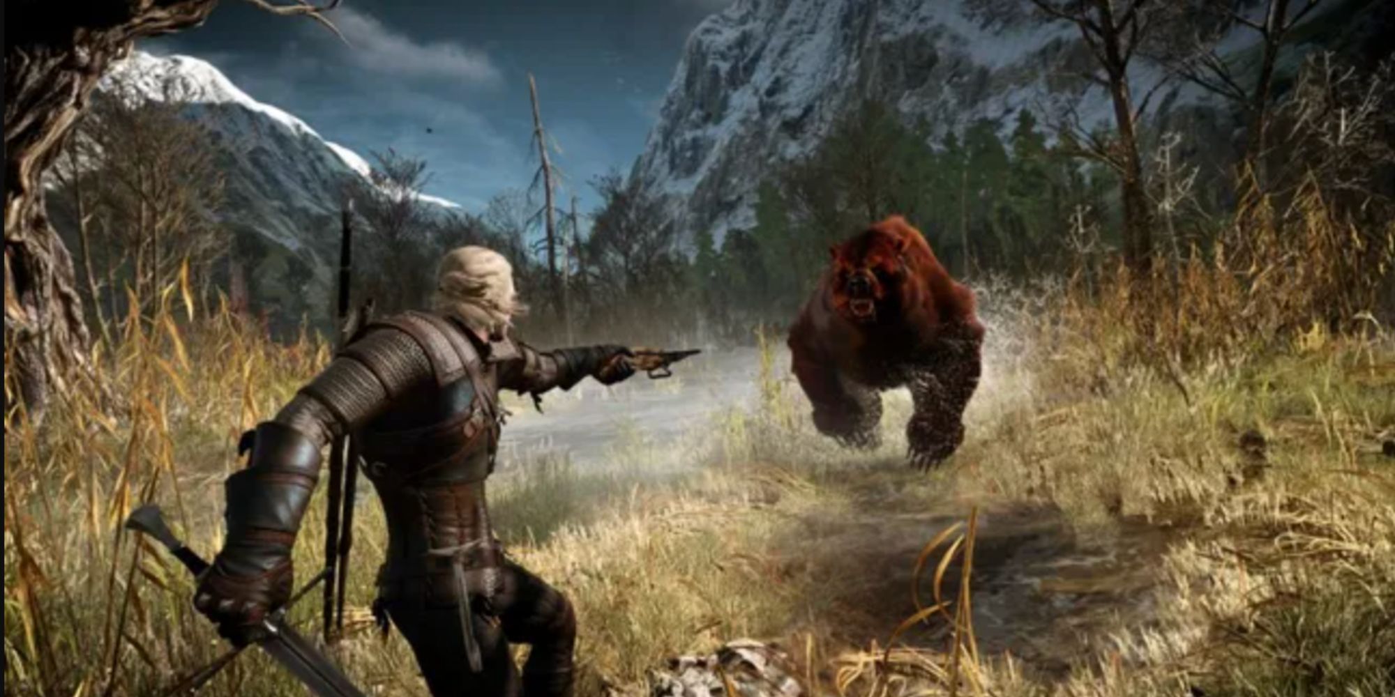 Geralt of Rivia Faces Down A Bear In The Witcher Wild Hunt